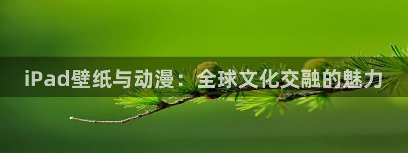 58动漫吧