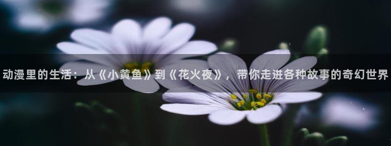 58动漫 官网