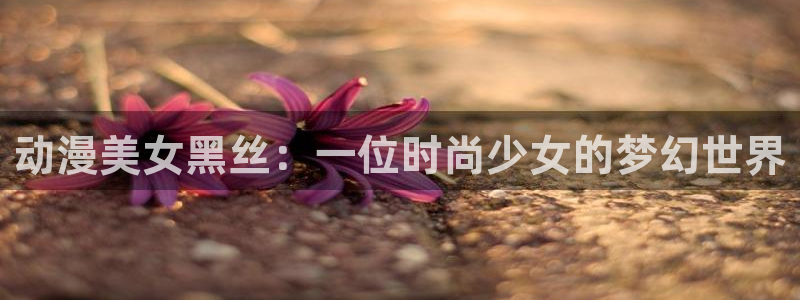 58动漫网观看